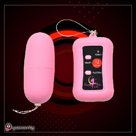 Remote Control Vibrating Egg BV-003