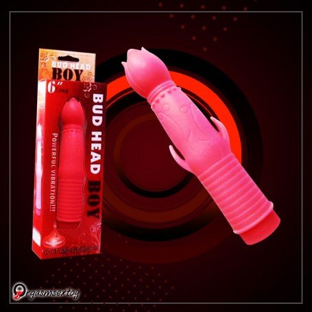 Bud Head Boy Fun Vibrator FV-001