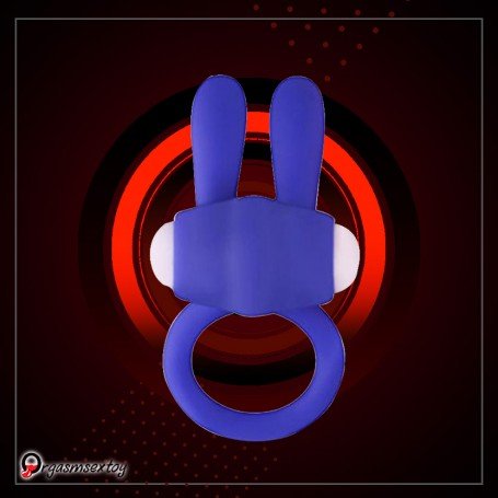 Kingfansion Mini Vibrating Rabbit Cock Ring (Blue) CR-017