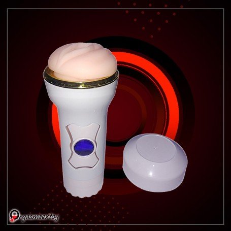 Lotus Aircraft Cup MS-045